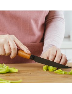 Ατσάλινο μαχαίρι λαχανικών... 2