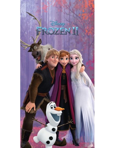 Πετσέτα Θαλάσσης Quick Dry Disney Home Frozen...