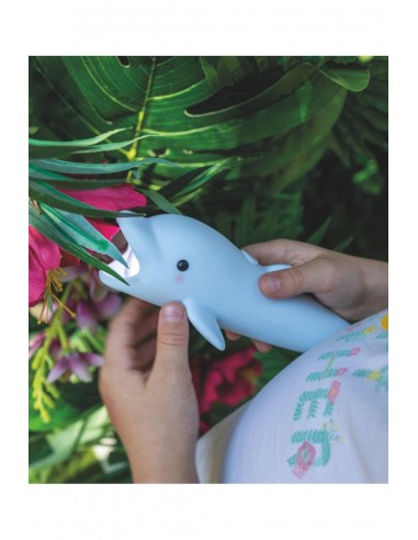 Μικρός Φακός Σιλικόνης Bubbly Dolphin - Rabbit...