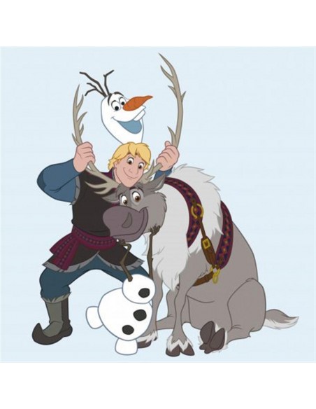 Λαβέτα-Πετσέτα Χεριών 30x30 Dimcol Disney Frozen 130