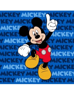 Λαβέτα Νηπιαγωγείου Disney...