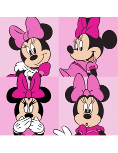 Λαβέτα Νηπιαγωγείου Disney...