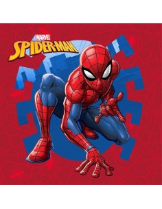 Λαβέτα Νηπιαγωγείου Marvel...